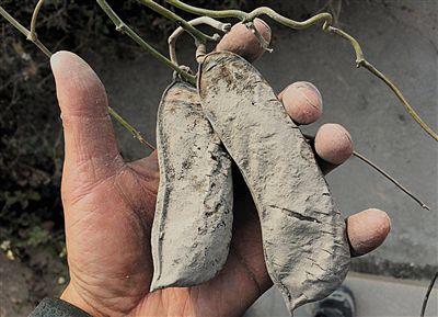 不合理采礦對環(huán)境的破壞